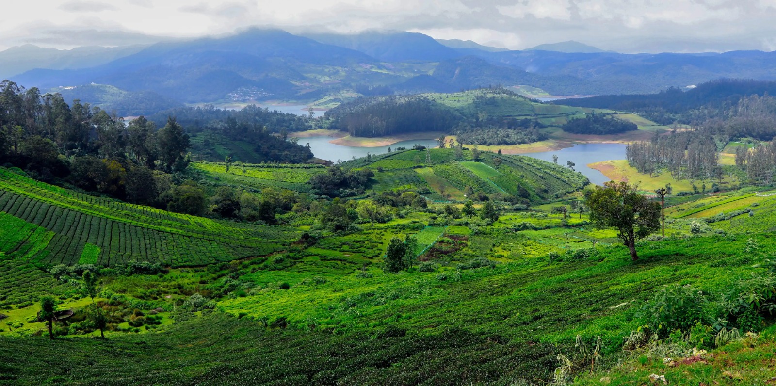 Ooty Tour 2 Nights 3 Days